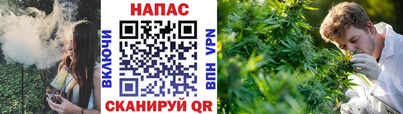 Галлюциногенные грибы Исилькуль