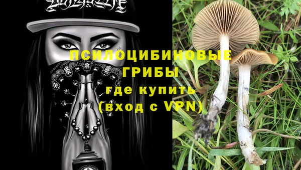 соль ск Алексеевка