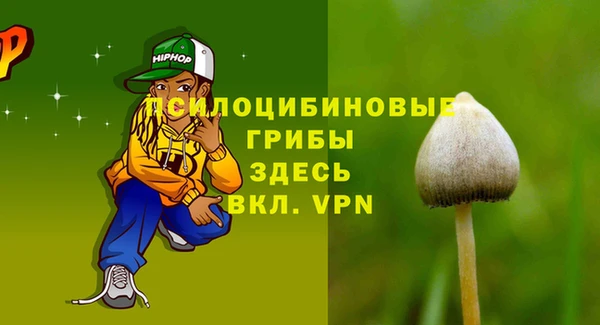 первитин Алексин